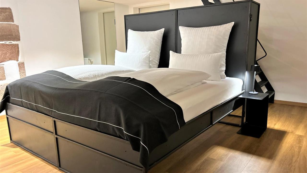 Historical Luxury Homes - Luxus Familien Suite فرايبورغ المظهر الخارجي الصورة