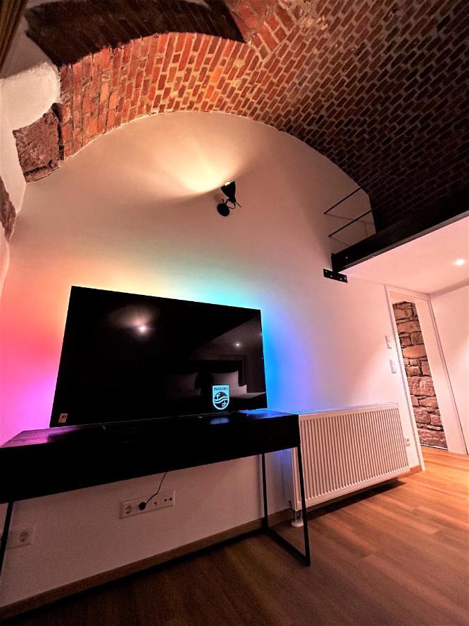 Historical Luxury Homes - Luxus Familien Suite فرايبورغ المظهر الخارجي الصورة